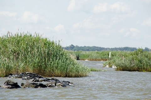 Chesapeake Bay