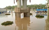 Washington-Harbor-Flooding_Byron-Peebles_cc-507x315