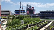 Nationals Park urban agriculture project