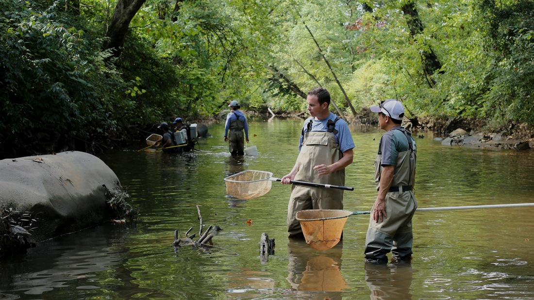 Lower Beaverdam Creek